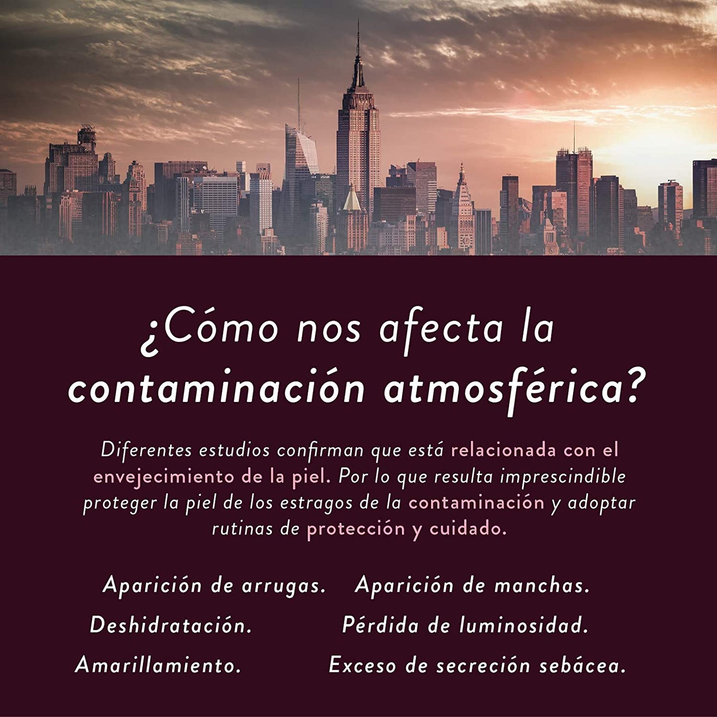 Vicorva Drogon's Blood Pollution Detox 50ml