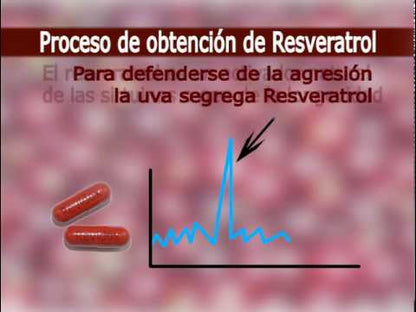 Revidox ADN 28 capsules